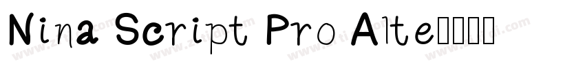 Nina Script Pro Alte字体转换